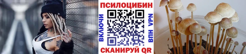 Псилоцибиновые грибы Magic Shrooms Вилюйск